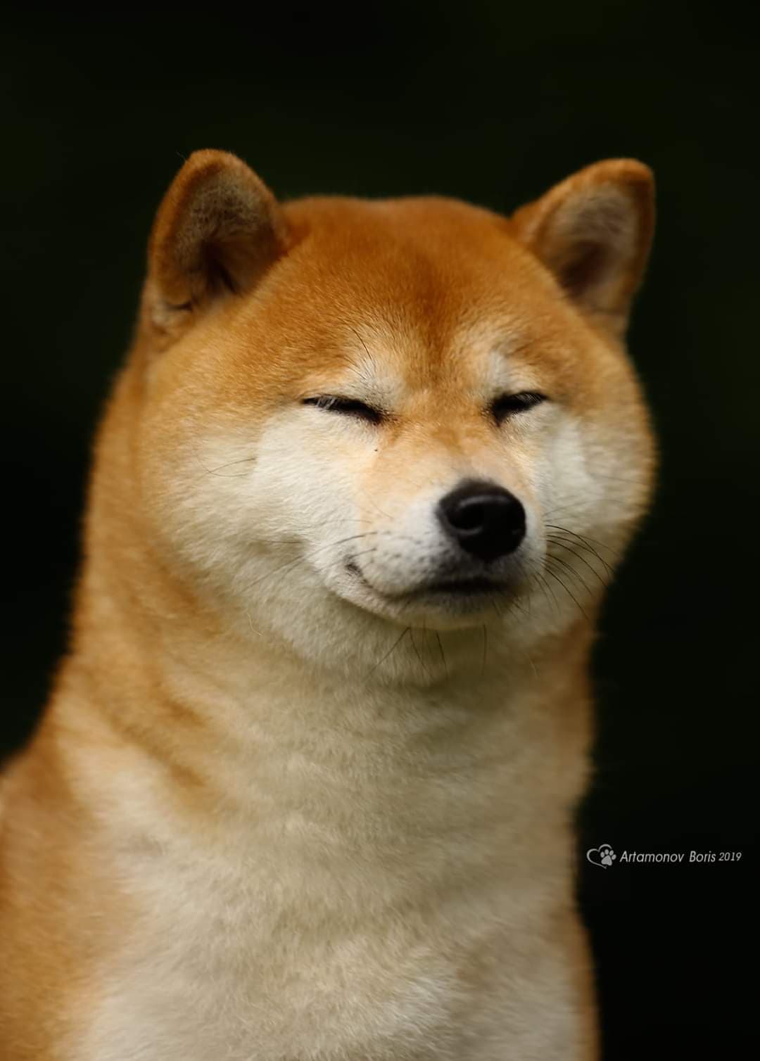 89778885_621925691721665_7475785866003087360_n (1)