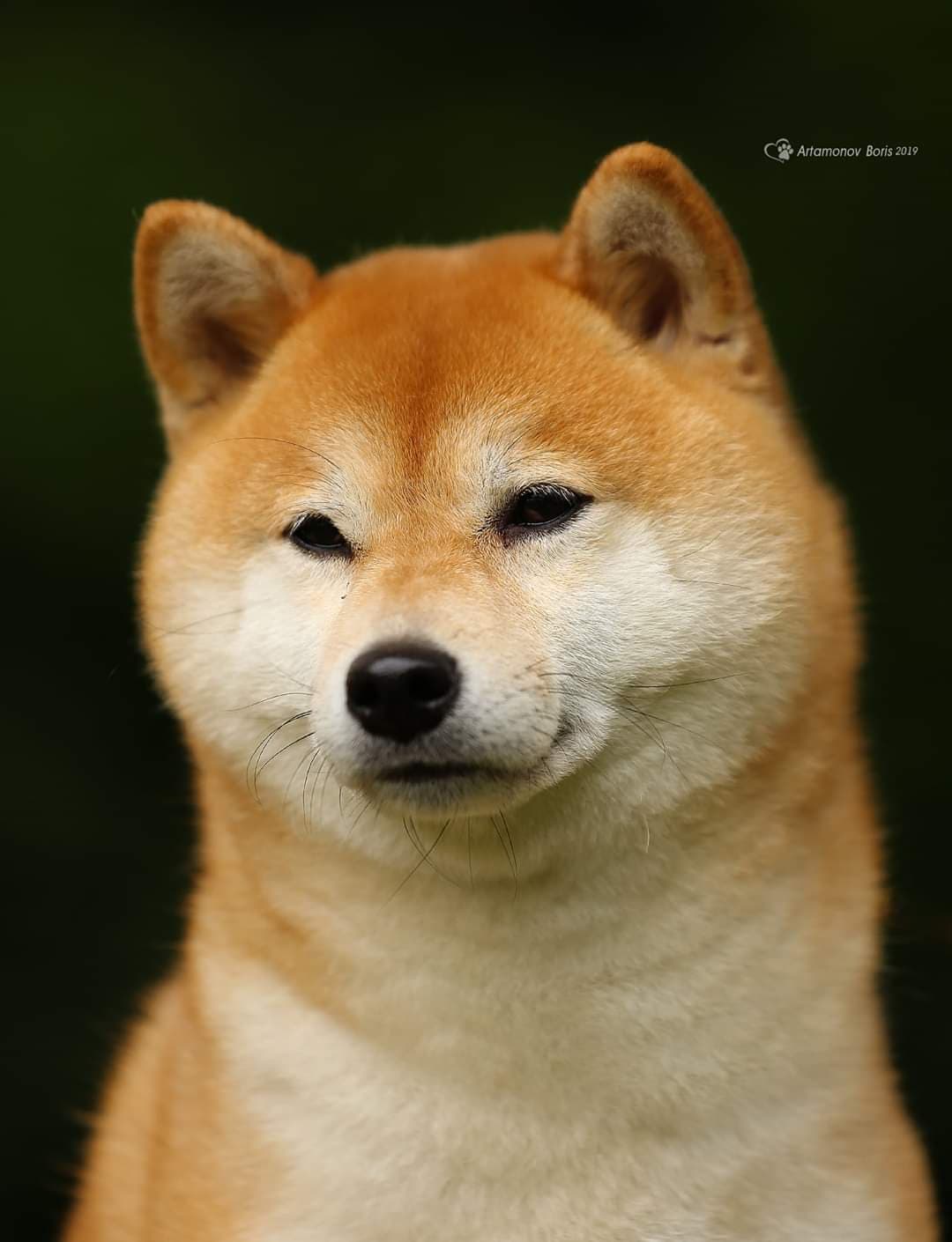 89819819_806512799845306_222285289375137792_n (1)