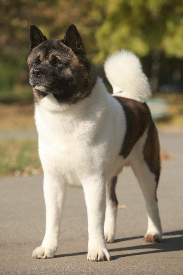 89827248_2555606228039819_1876617906230394880_n (1)