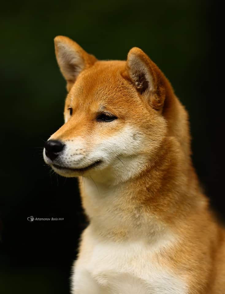 89852458_1393570507496230_3939773925822562304_n (1)