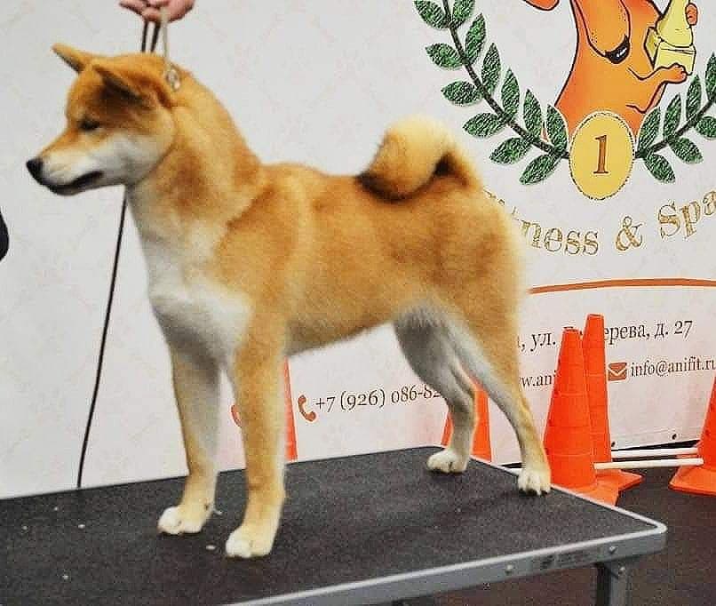 89869880_696718850868041_6189420848495984640_n (1)