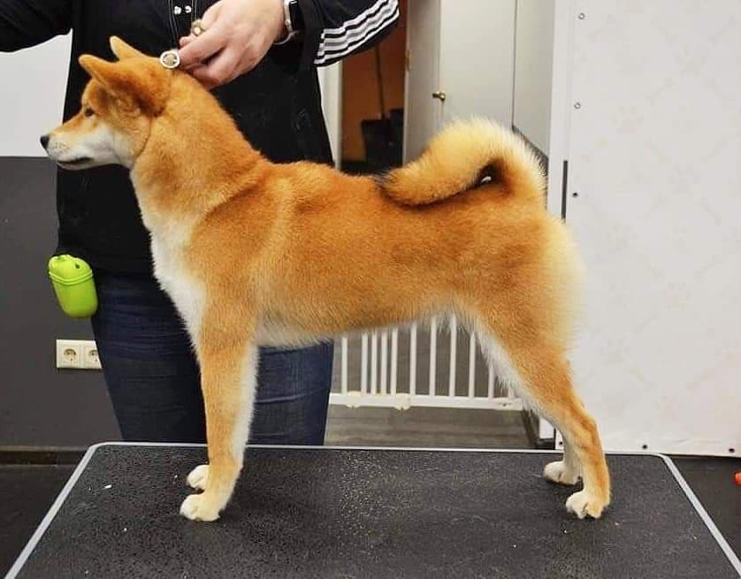 89904623_812216602618236_7140536971033575424_n (1)