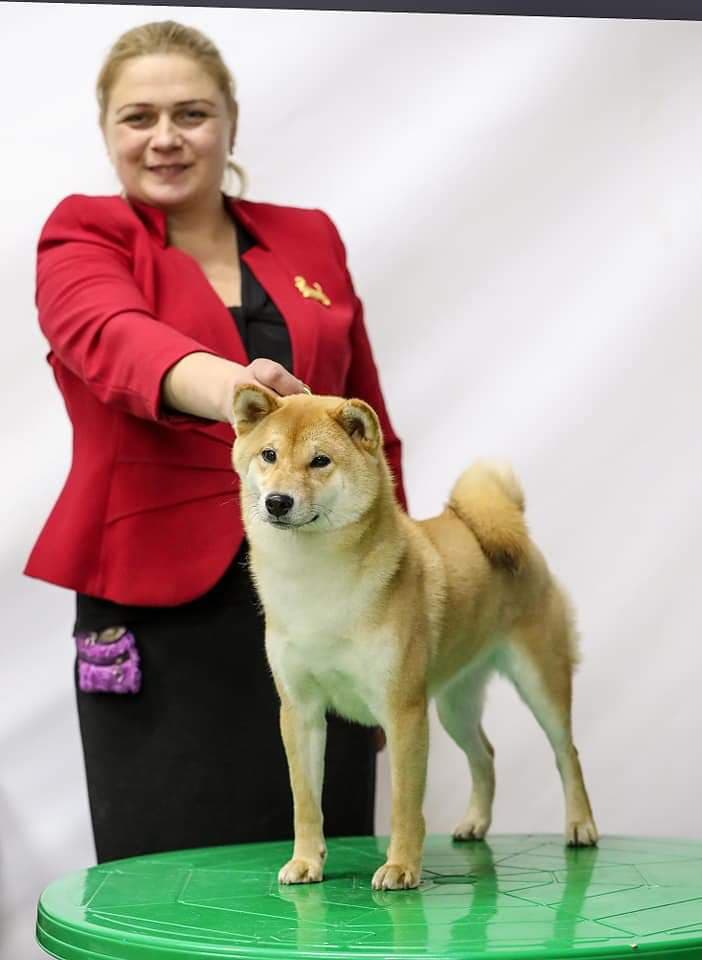 89916011_1087626148271266_2334716777264578560_n (1)