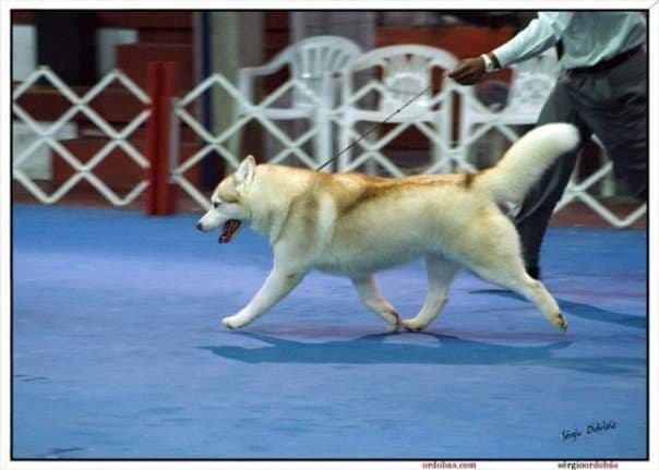 89917506_207180217040680_539087982708129792_n (1)