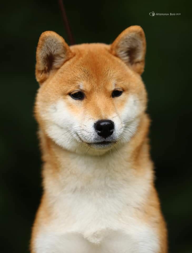 89932950_205850023816646_1765297520763731968_n (1)