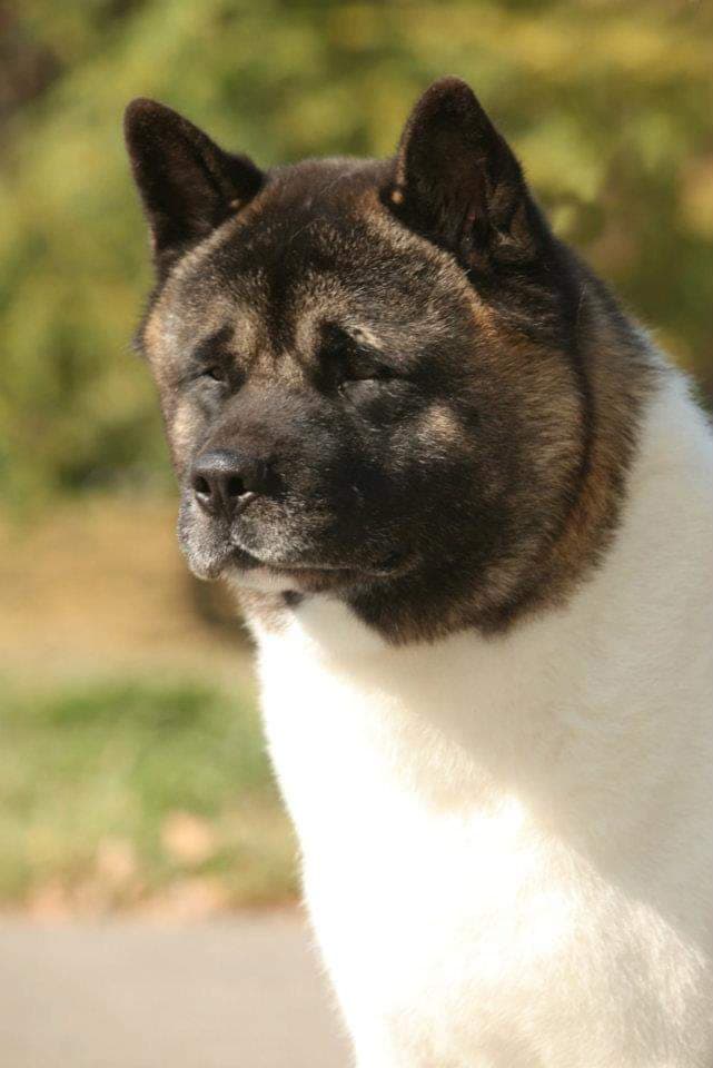 89959097_193321955304370_5396461437730160640_n (1)