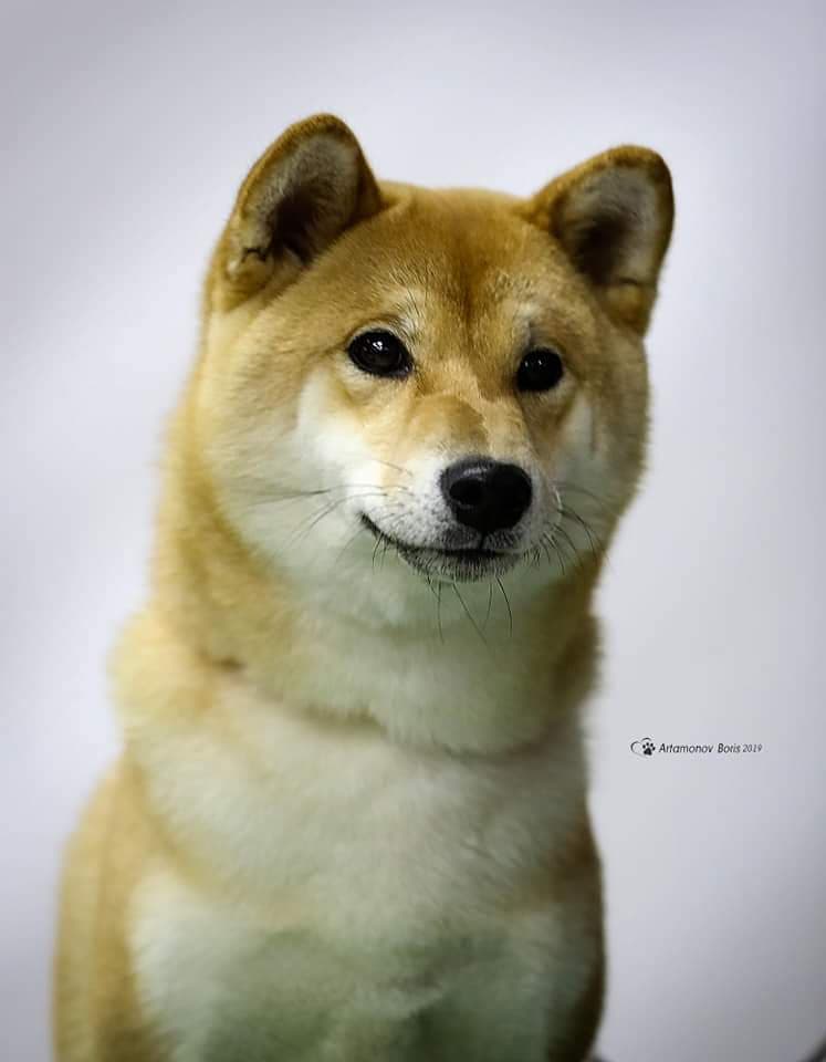 89963480_1820621284729076_1223384471777050624_n (1)