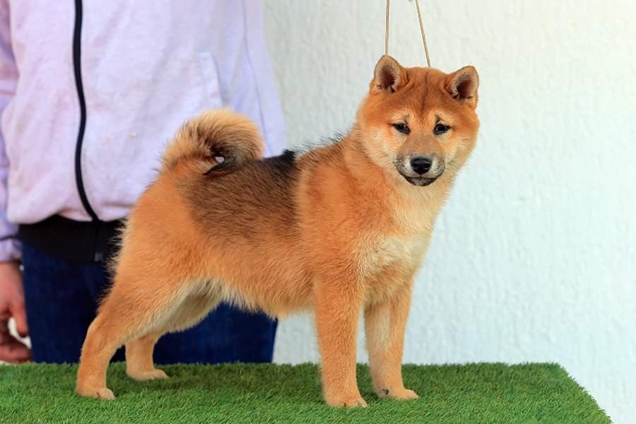 90070301_541522913157689_8816333248863928320_n (1)