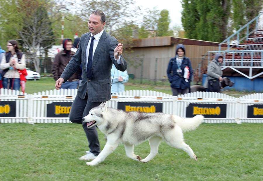 90081714_2322656414699357_6595358651685273600_n (1)