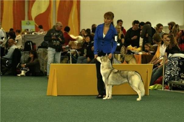 90089239_944921962588934_5978340931227615232_n (1)