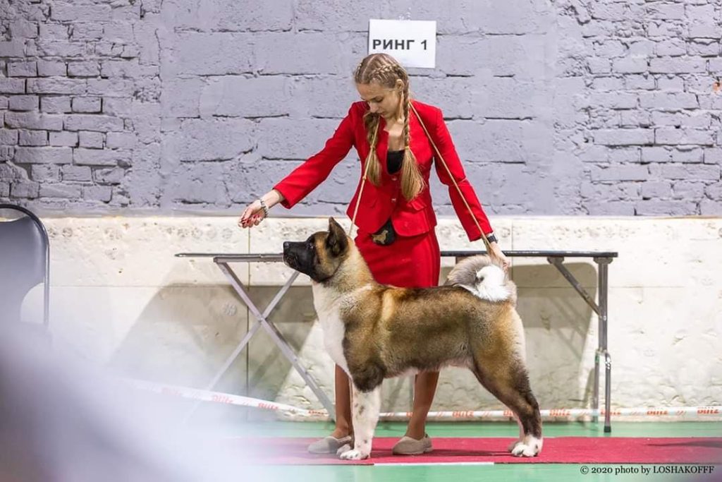 90090542_524114361629314_5423959828403847168_n (1)