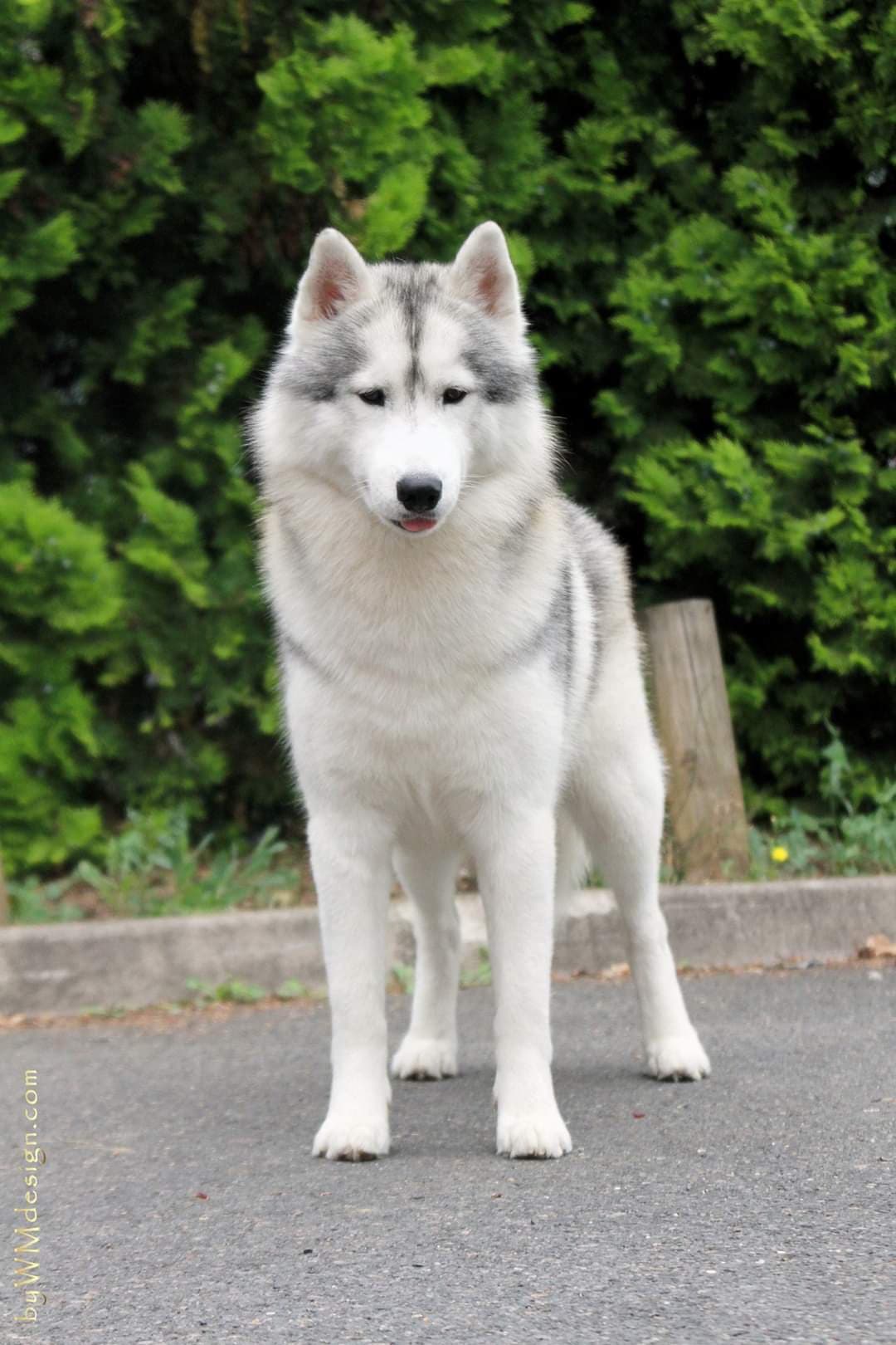 90095071_545809412710143_4308902377521414144_n (1)