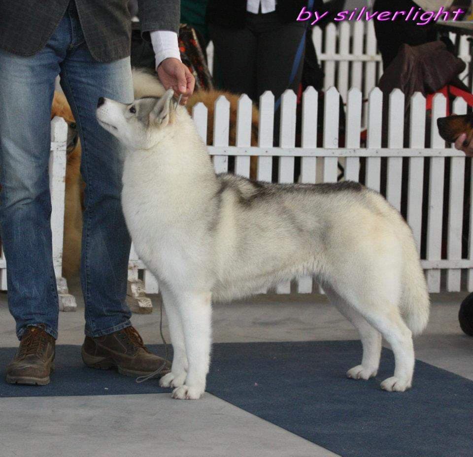 90101238_651710012351627_8148119969209516032_n (1)