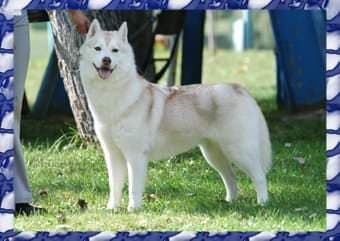 90114766_168720080761412_5549527075657875456_n (1)