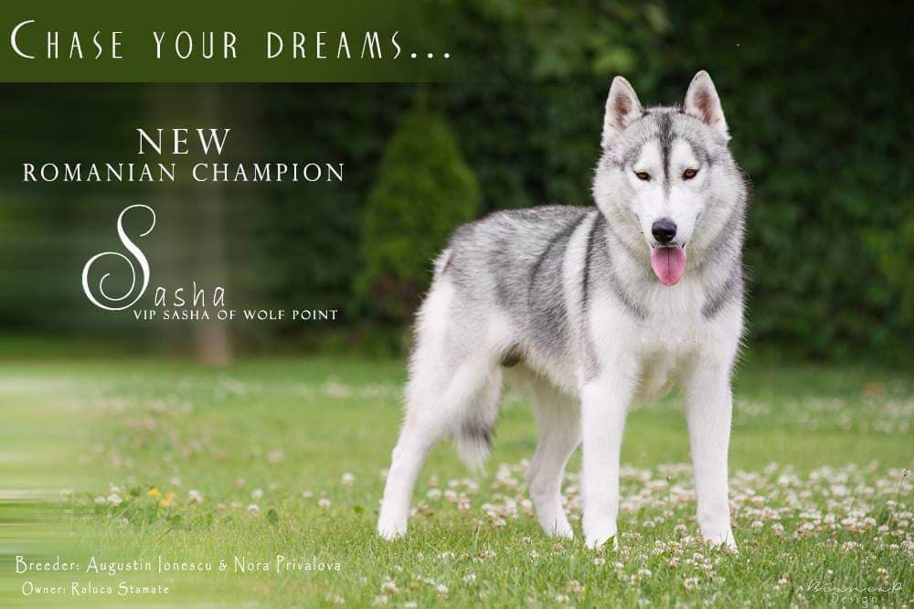 90142837_260978054911462_9043734016087293952_n (1)