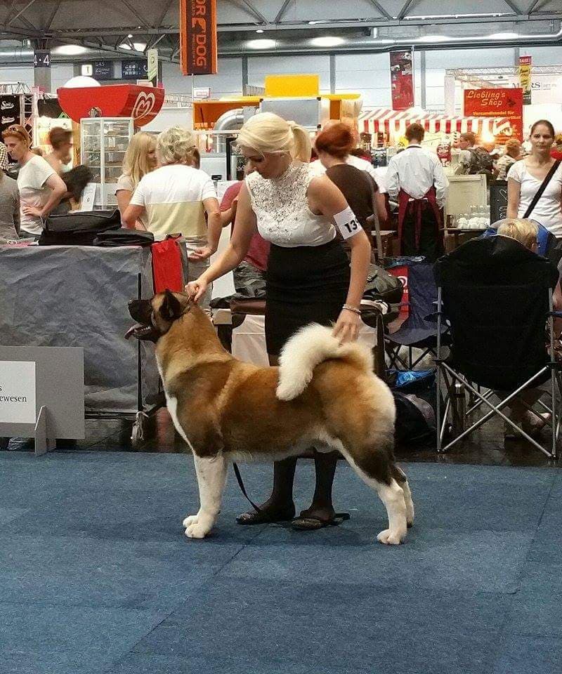 90146551_251315919222562_4727497951843188736_n (1)