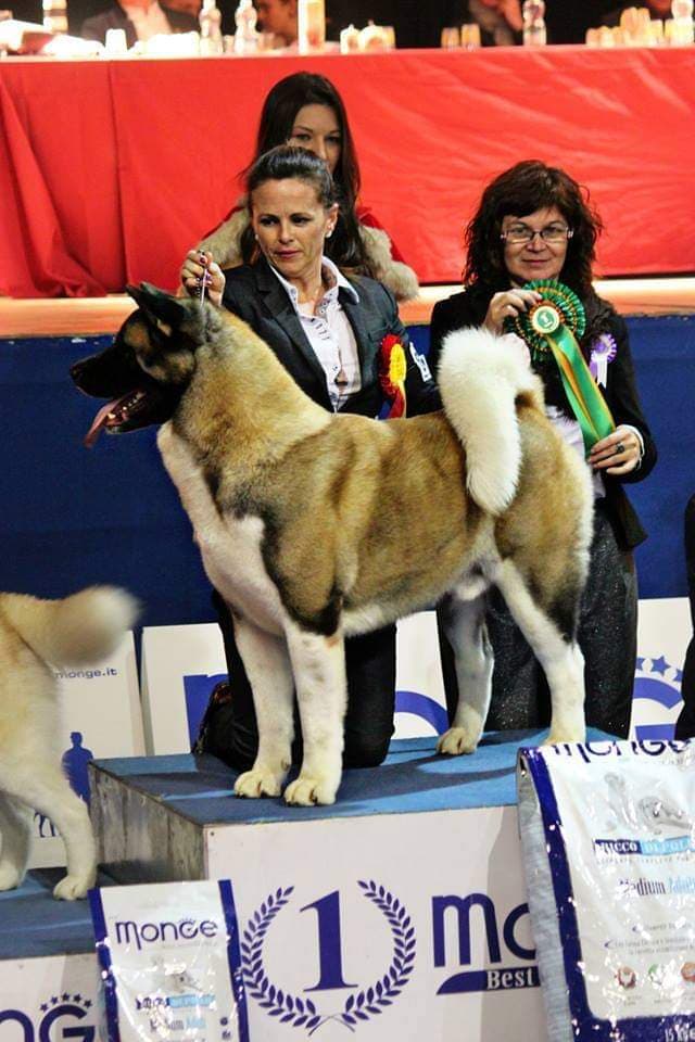 90174930_2793637304048875_6533067637184790528_n (1)