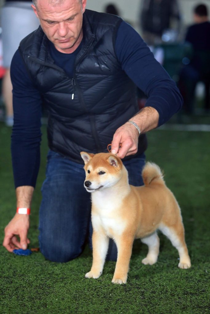 90175914_900338313731795_8743039481633832960_n (1)