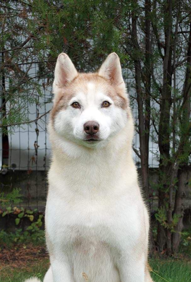 90177798_221517475881810_1590020347795603456_n (1)