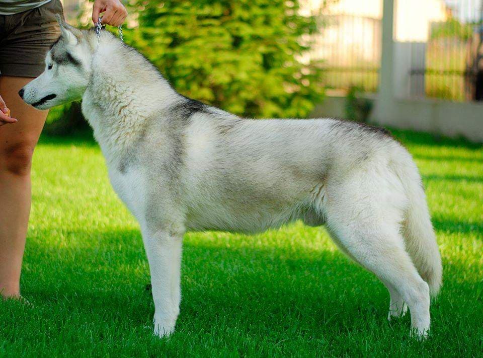 90178575_159086451874093_1135153680169828352_n (1)