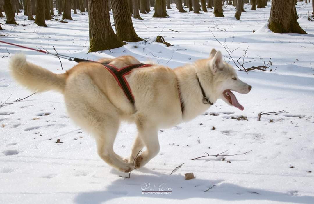 90190717_859612941209810_2728661558589652992_n-1