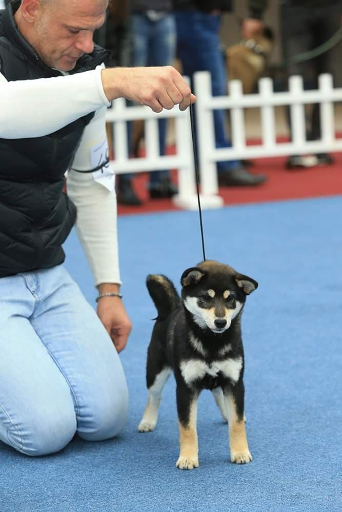 90191306_2763846103684621_6369727153289822208_n (1)