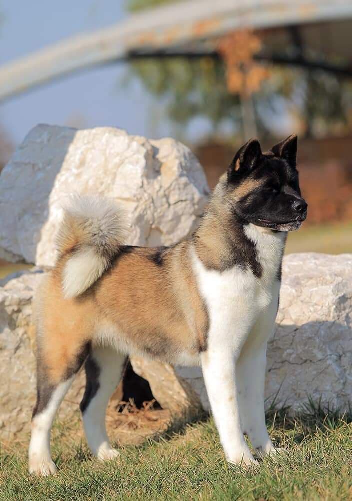 90212696_679147622857203_2387923622401409024_n (1)