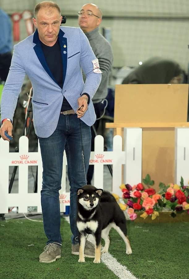 90231212_606151563563832_7335659487069470720_n (1)