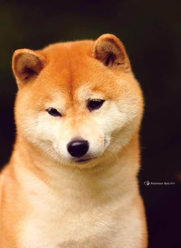 90231223_2381978515426069_9220516725416525824_n (1)