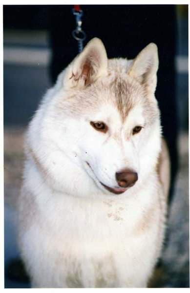 90231679_926410741110980_3827364310879830016_n (1)