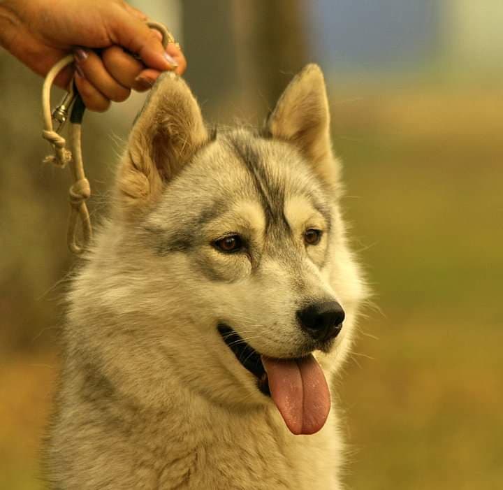 90235469_928502260913870_9070574413476265984_n (1)