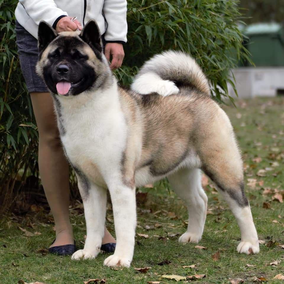 90239457_635153150655128_3267088245183217664_n (1)