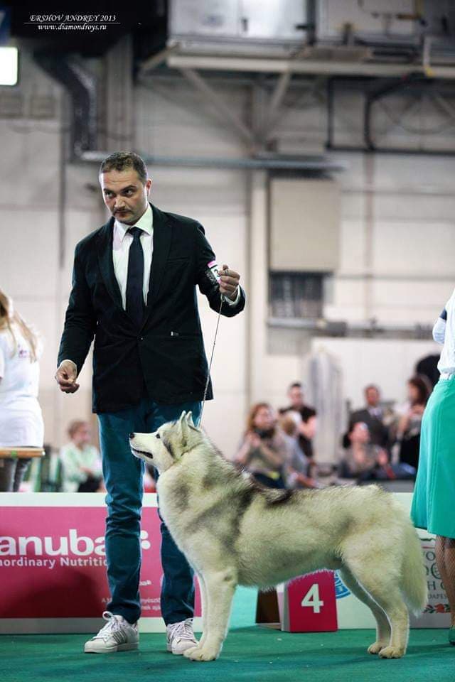 90241191_210030116869765_6334680314643742720_n (1)