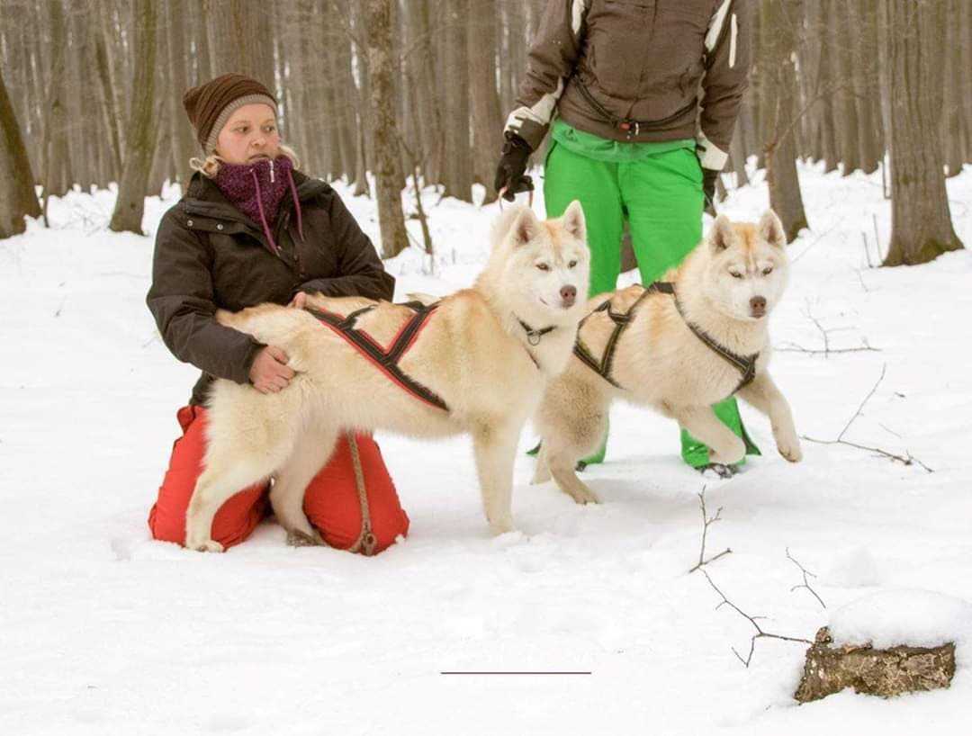 90280424_522202718433406_1796310478880768000_n-1