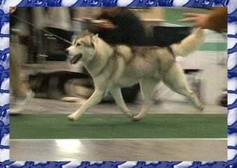 90298354_237305854097877_4453160570828357632_n (1)