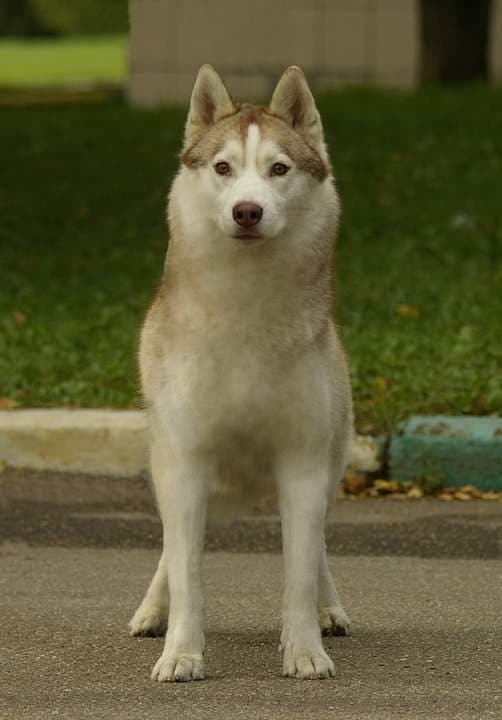 90298736_2759814837421064_4333190967336108032_n (1)