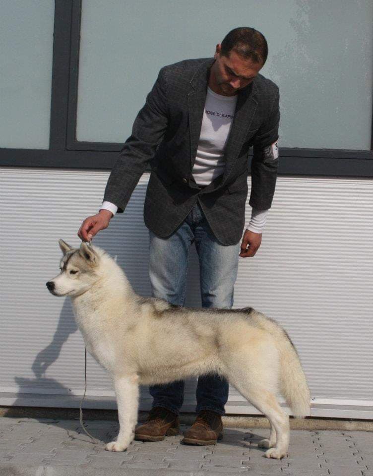 90324923_207420993803369_1262835198089756672_n (1)