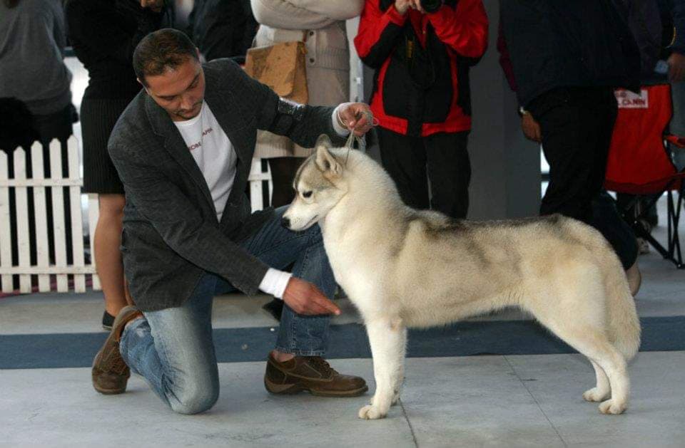 90343130_899346120498992_243086404400185344_n (1)