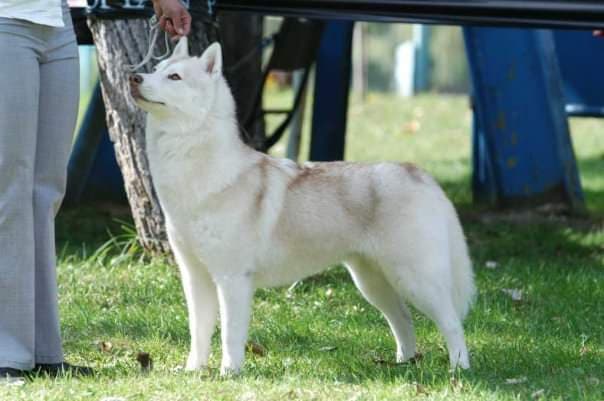 90348123_642401003241802_4724911251954597888_n (1)