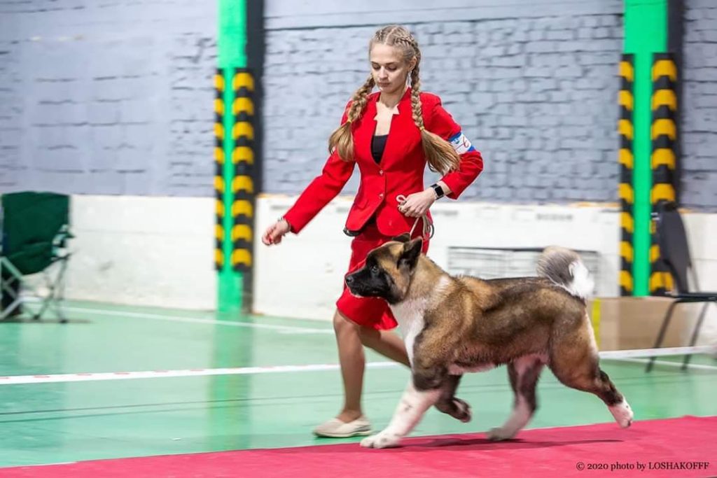 90351306_646893152521409_2774644294504415232_n (1)