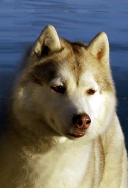 90374169_289278172040810_2089398617663078400_n (1)