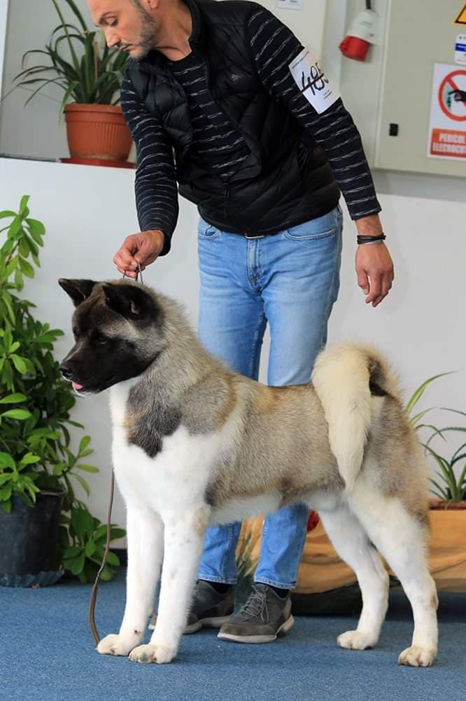 90375050_542108233177815_864690643123830784_n