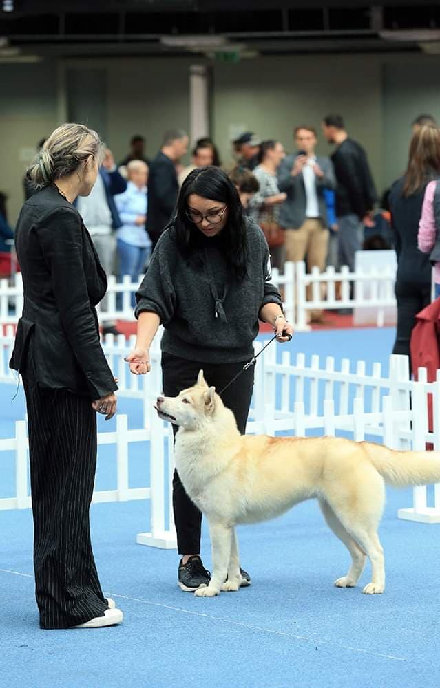 90379041_624189731753363_653083896576999424_n (1)