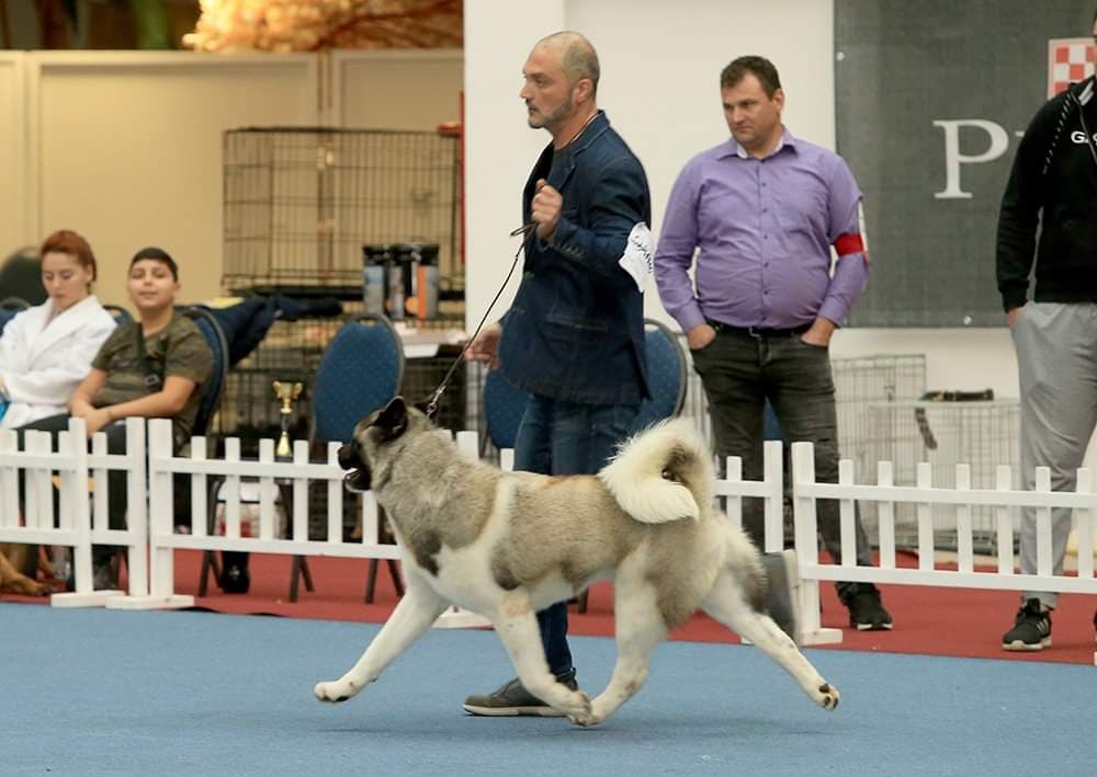 90416714_198211128172481_4125386430782373888_n