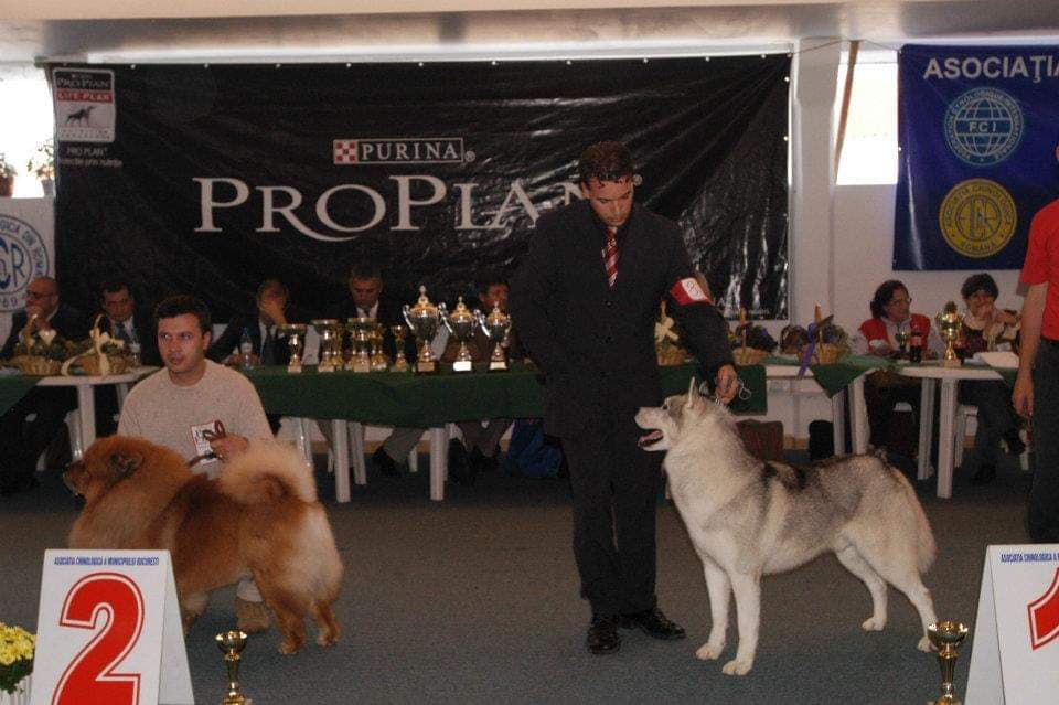 90430398_290224325276967_8431142405457051648_n (1)