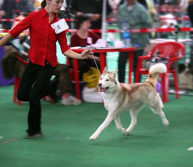 90430771_604293190301361_5047108372671758336_n (1)