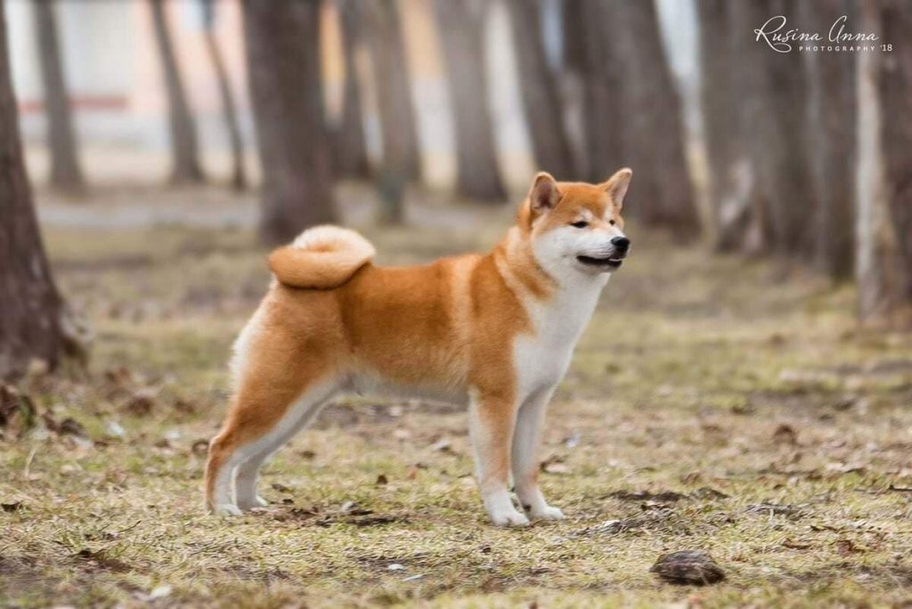 90434297_882429745530398_5735816398744059904_n (1)