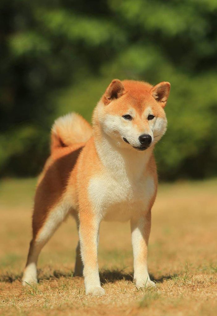 90440542_204523690961206_2209906470751830016_n (1)