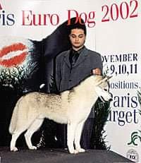 90445712_1117354638618219_8115560024002002944_n (1)