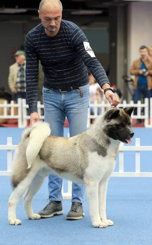 90454843_1319462428255246_5410118321334910976_n